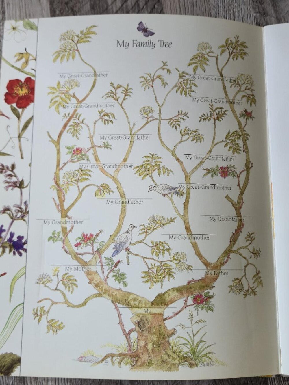 Beshlie Grandmother's Album A Keepsake for Sharing Pop-Up Floral Book '92 1st Ed - Picture 14 of 15